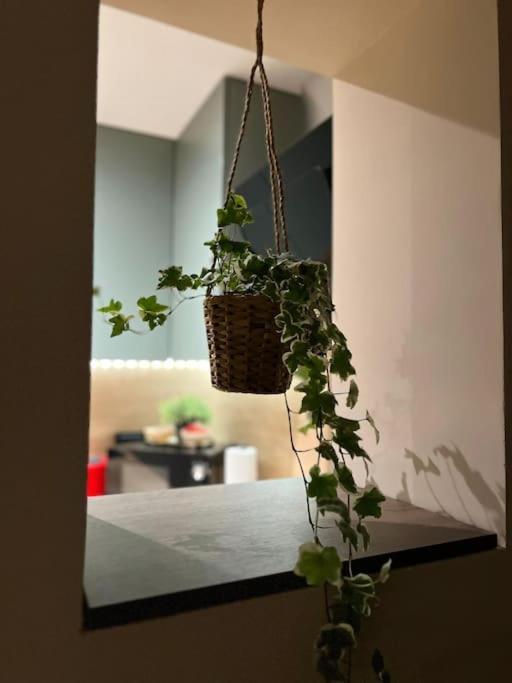 דירה 7- A Chic Urban Hideaway, 10min Walk To Center טימישוארה